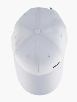 Gray Puma Metal Cat Cap