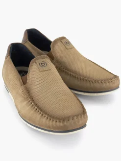 Sand-Colored Chesley