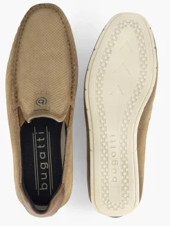 Sand-Colored Chesley